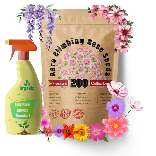 200 Stunning Rare Climbing Rose Seeds | Premium Elegant Climbing Rose Flower Seeds 🌹